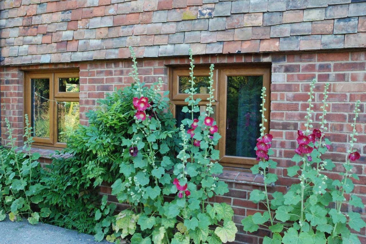 Hollyhock Cottage アシュフォード エクステリア 写真